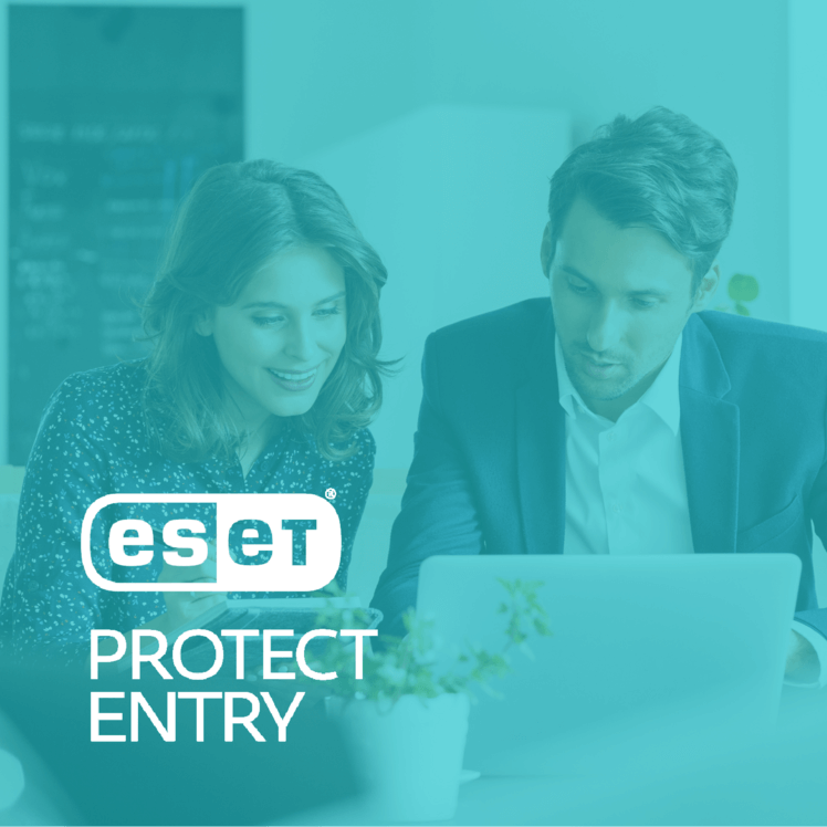 ESET Protect Entry - 1 Año